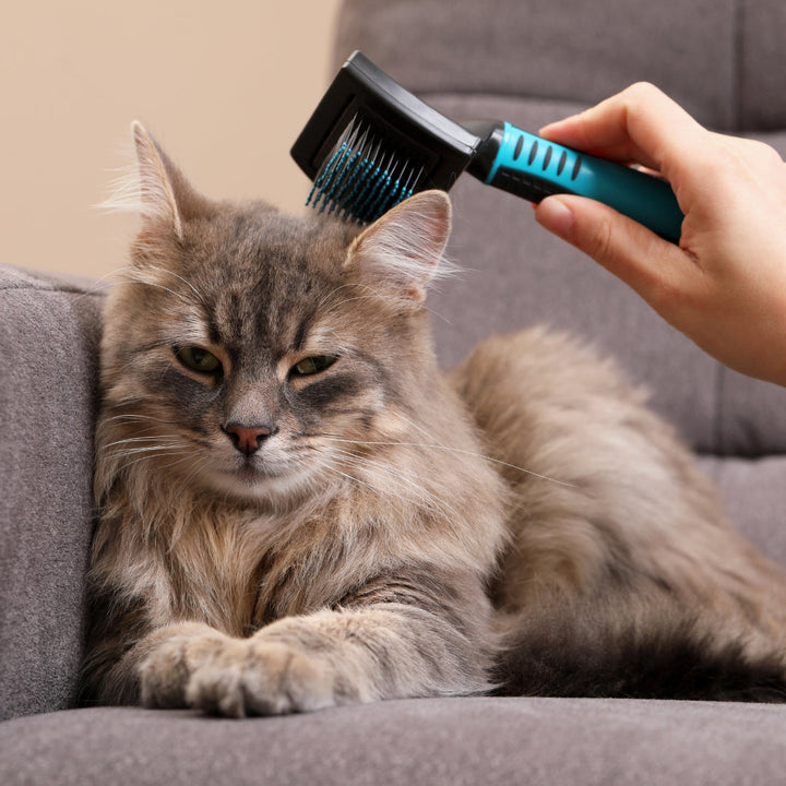 Grooming Supplies