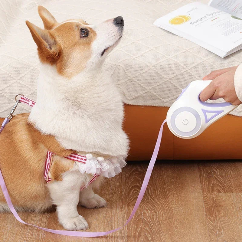 LED Retractable Dog Leash for Small Medium Dogs