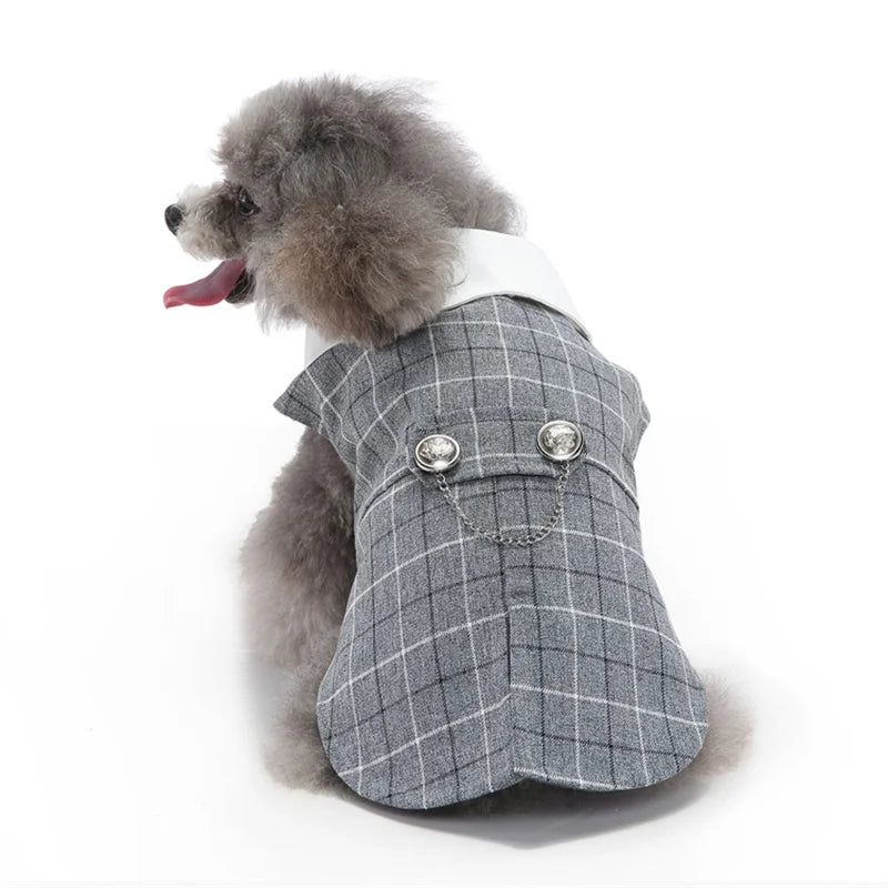 Luxury Male Dog Tailcoat Suit for Small Dogs Wedding