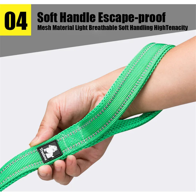 Truelove Reflective Padded Pet Leash for Dogs Cats