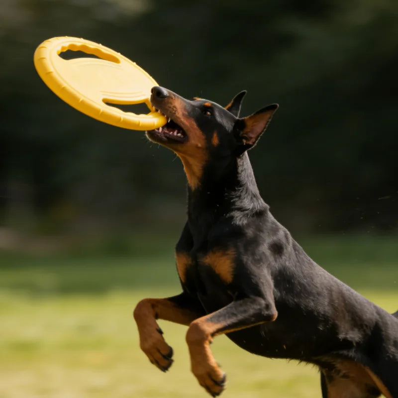 Flying Disc Dog Chew Toy Training Play