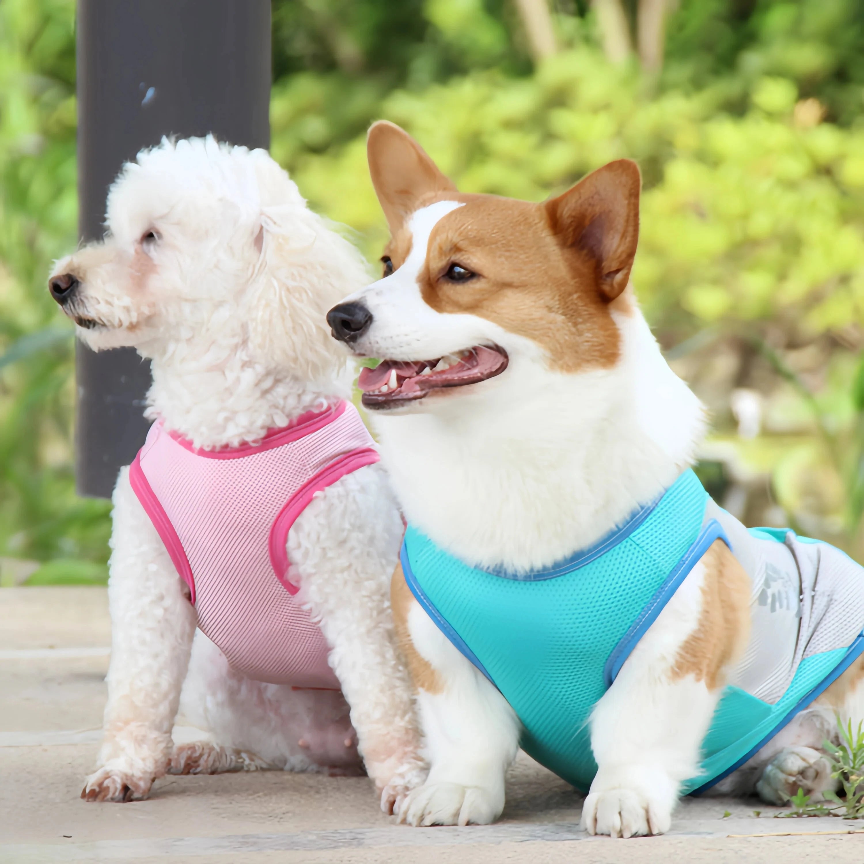 Summer Cooling Reflective Vest for Dogs Cats Quick Dry
