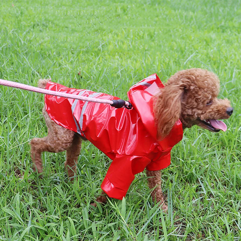 Waterproof Hooded Pet Raincoat Jacket for Dogs Cats