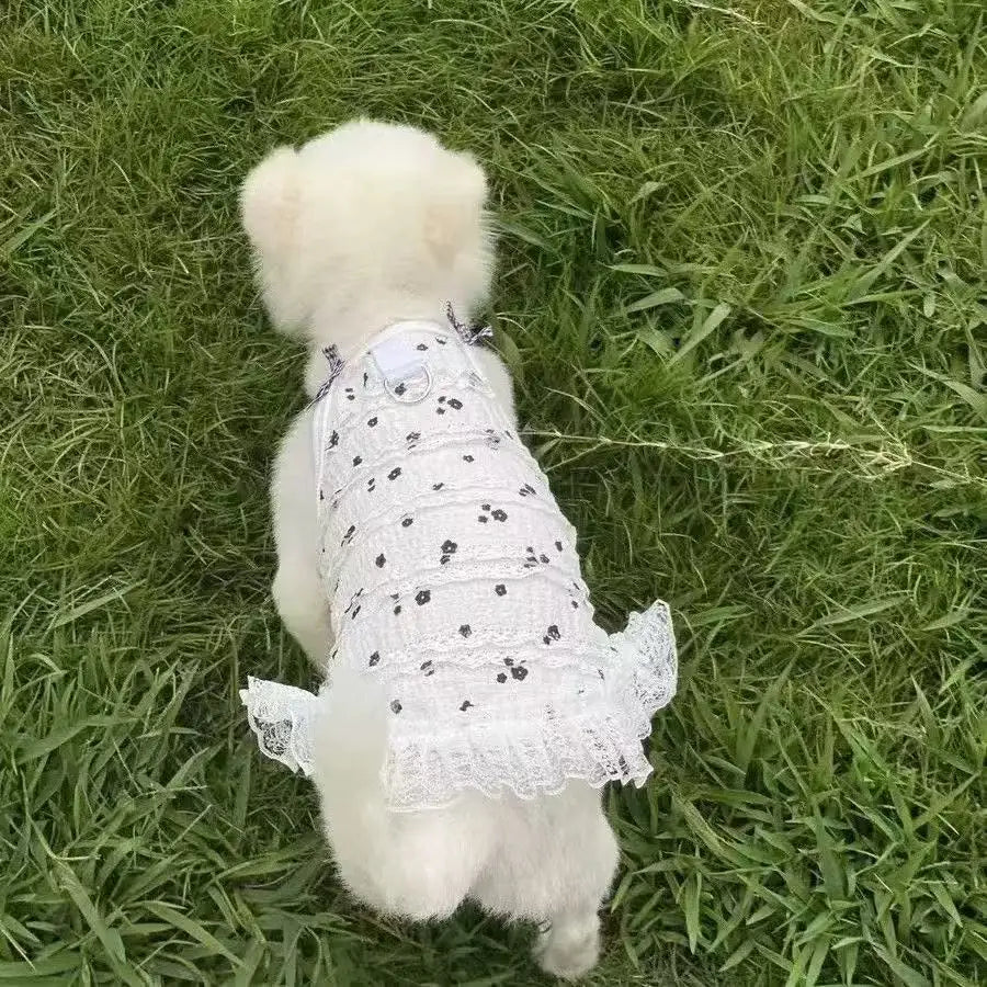 Cute Lace Bowknot Dress for Small Dogs Cats