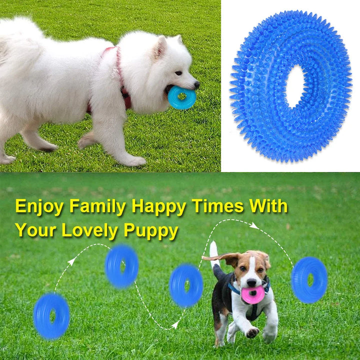 Spiky Squeaky TPR Dog Chew Toy Teeth Cleaner