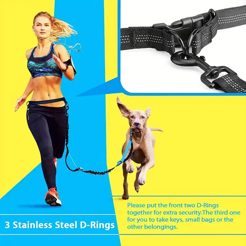 Hands-Free Adjustable Running Dog Leash with Double Handles Elastic