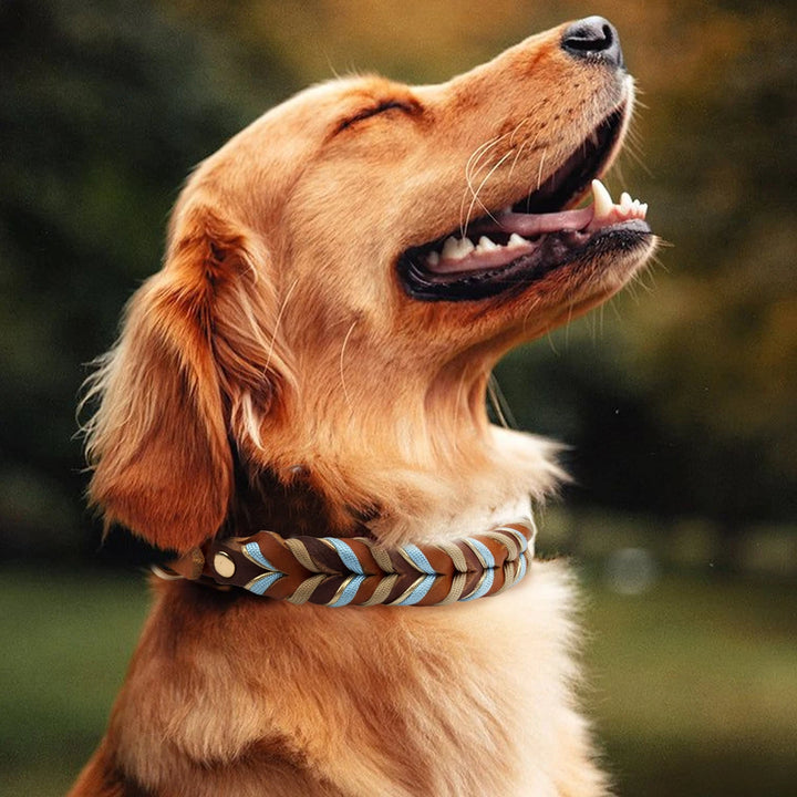 Genuine Leather Braided Nylon Dog Collar for Large Dogs