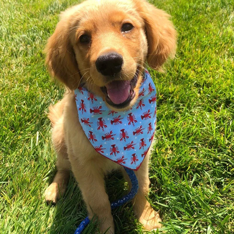 Cute Outdoor Dog Bandana Triangular Scarf for All Dogs