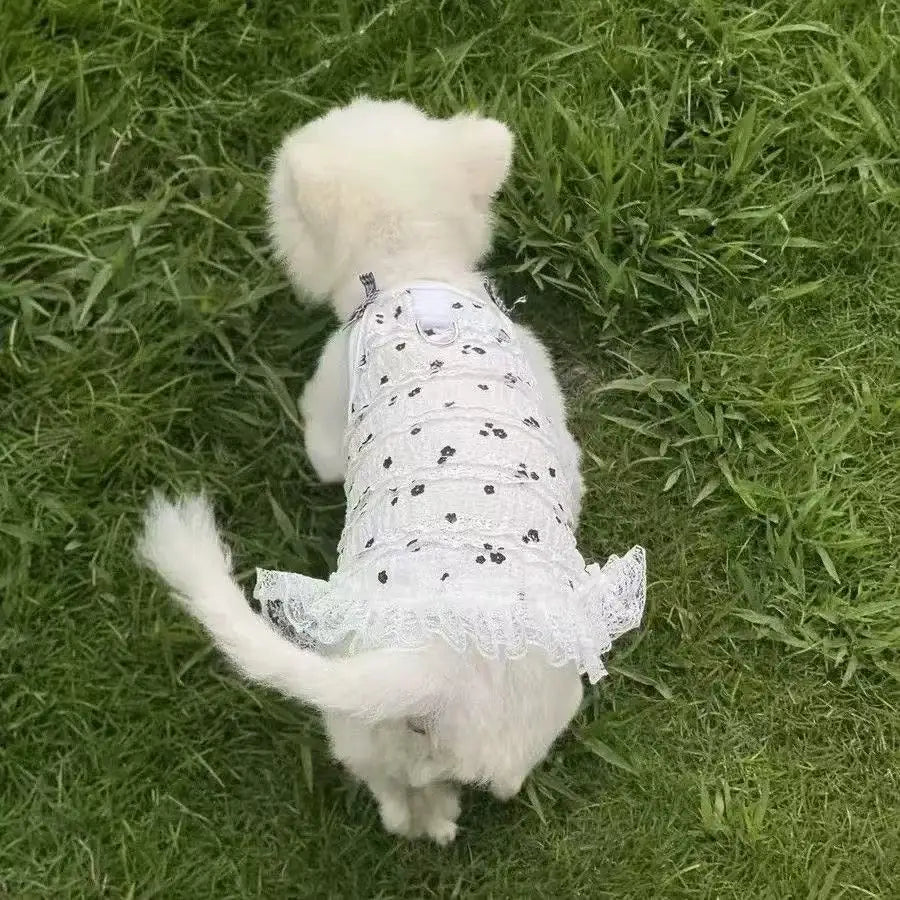 Cute Lace Bowknot Dress for Small Dogs Cats