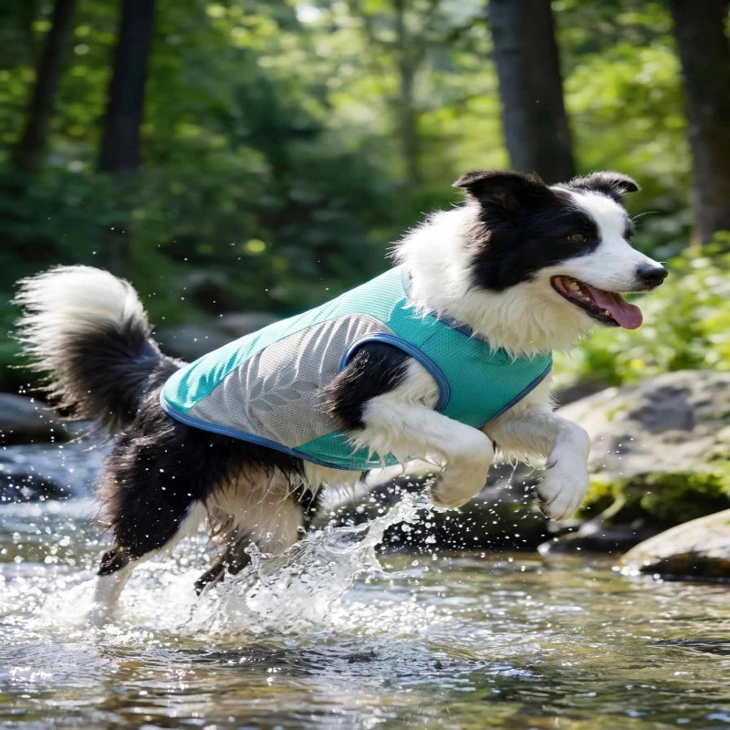 Summer Cooling Reflective Vest for Dogs Cats Quick Dry