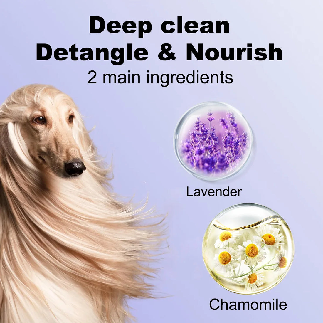 Pet Shampoo for Cats Dogs Odor Removal Hair Care
