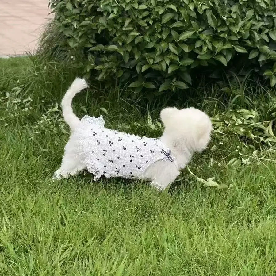 Cute Lace Bowknot Dress for Small Dogs Cats
