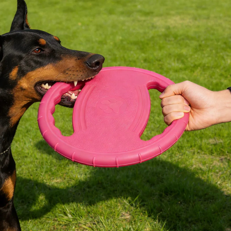 Flying Disc Dog Chew Toy Training Play