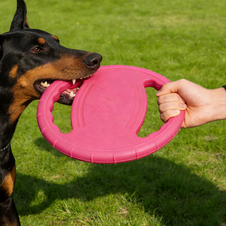 Flying Disc Dog Chew Toy Training Play