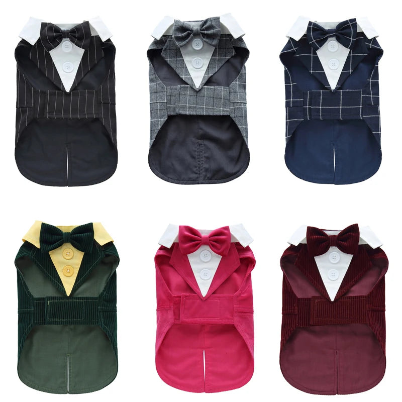 Luxury Male Dog Tailcoat Suit for Small Dogs Wedding