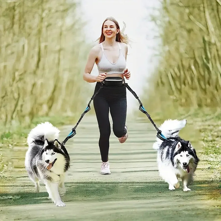 Hands-Free Adjustable Running Dog Leash with Double Handles Elastic