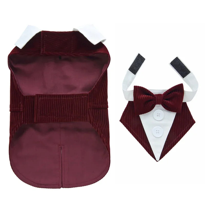 Luxury Male Dog Tailcoat Suit for Small Dogs Wedding
