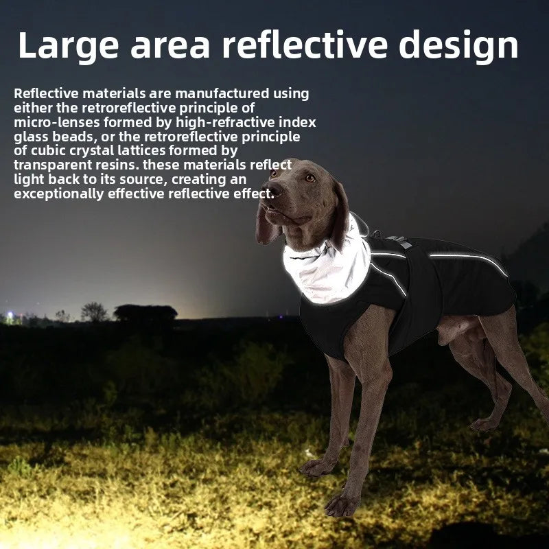 Winter Waterproof Reflective Dog Jacket with Adjustable D-Ring