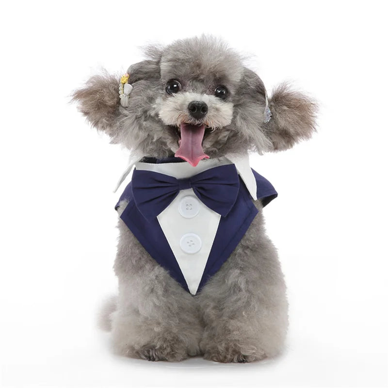 Luxury Male Dog Tailcoat Suit for Small Dogs Wedding