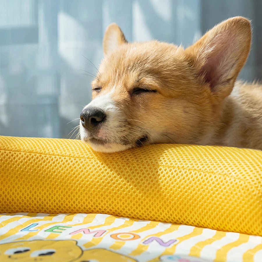 Breathable Washable Pet Sofa Bed for Small Medium Pets