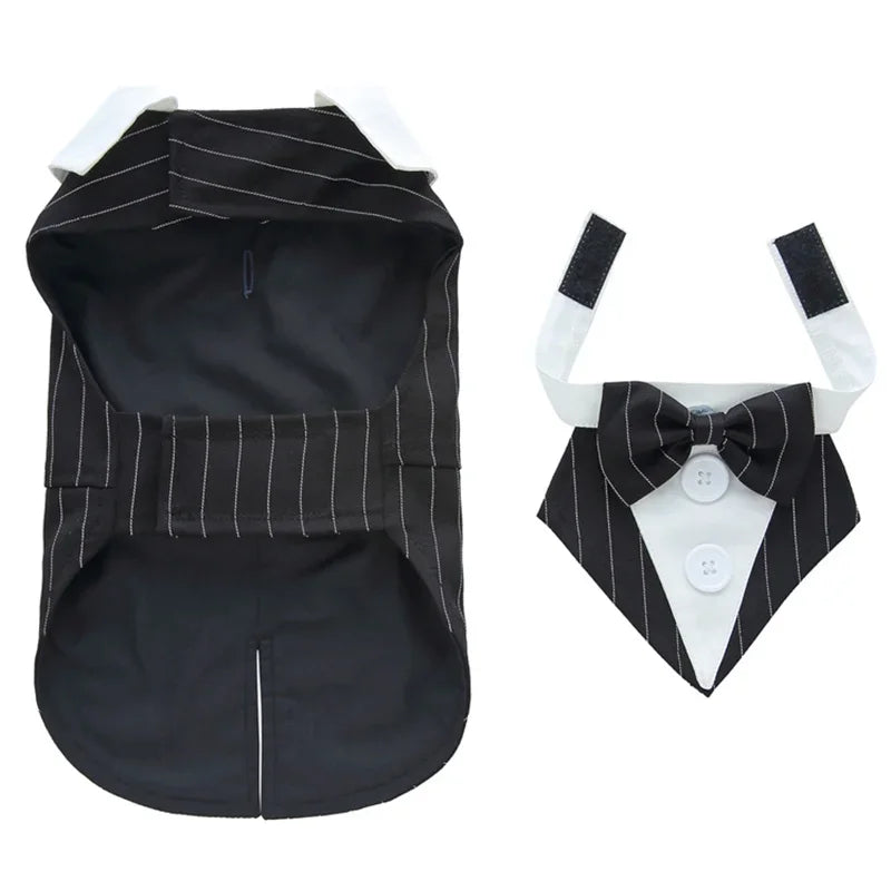 Luxury Male Dog Tailcoat Suit for Small Dogs Wedding