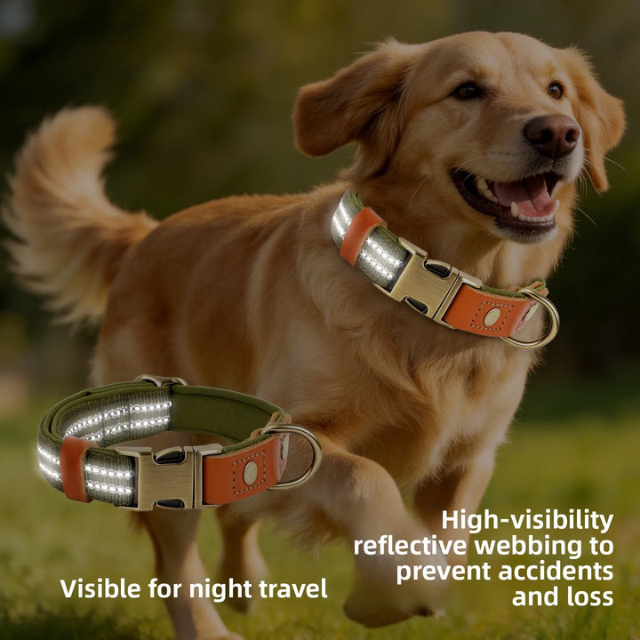 Reflective Padded Dog Collar for Medium Large Dogs Comfortable