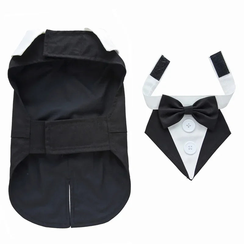 Luxury Male Dog Tailcoat Suit for Small Dogs Wedding
