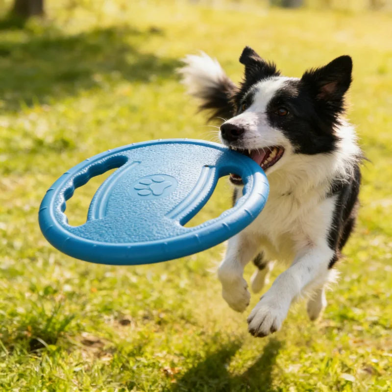 Flying Disc Dog Chew Toy Training Play