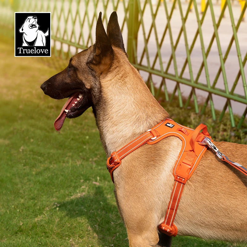 Reflective No Pull Adjustable Step-In Dog Harness