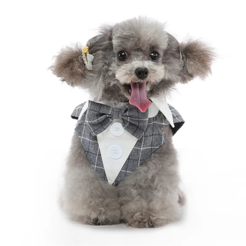Luxury Male Dog Tailcoat Suit for Small Dogs Wedding