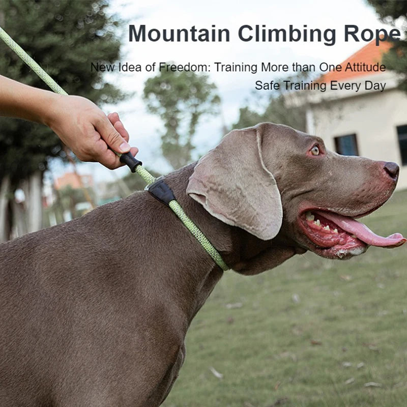 Truelove Heavy Duty Slip Lead Dog Training Leash