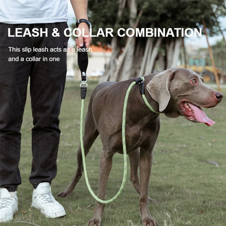 Truelove Heavy Duty Slip Lead Dog Training Leash
