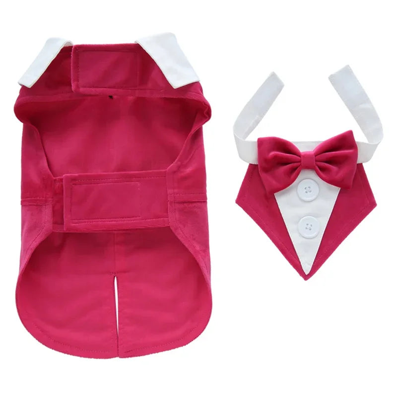 Luxury Male Dog Tailcoat Suit for Small Dogs Wedding