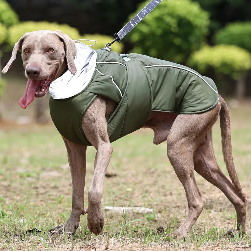 Winter Waterproof Reflective Dog Jacket with Adjustable D-Ring