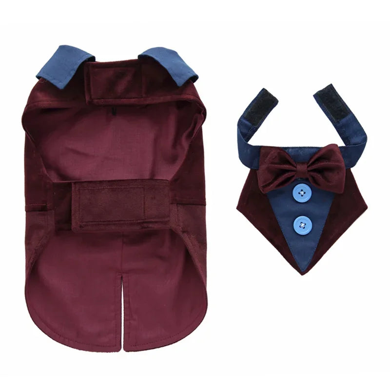 Luxury Male Dog Tailcoat Suit for Small Dogs Wedding