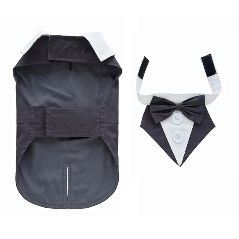 Luxury Male Dog Tailcoat Suit for Small Dogs Wedding
