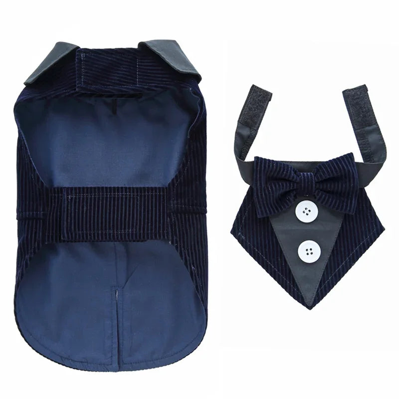 Luxury Male Dog Tailcoat Suit for Small Dogs Wedding