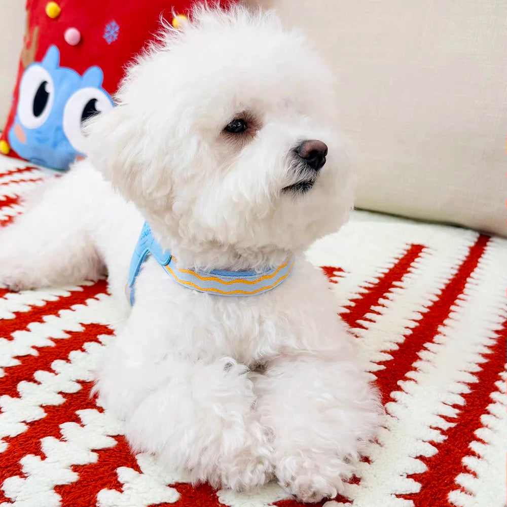 Breathable Mesh Pet Harness for Cats Small Dogs Puppies