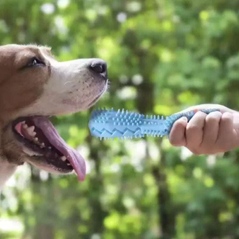 Bite Resistant Dog Teething Chew Stick Dental Toy