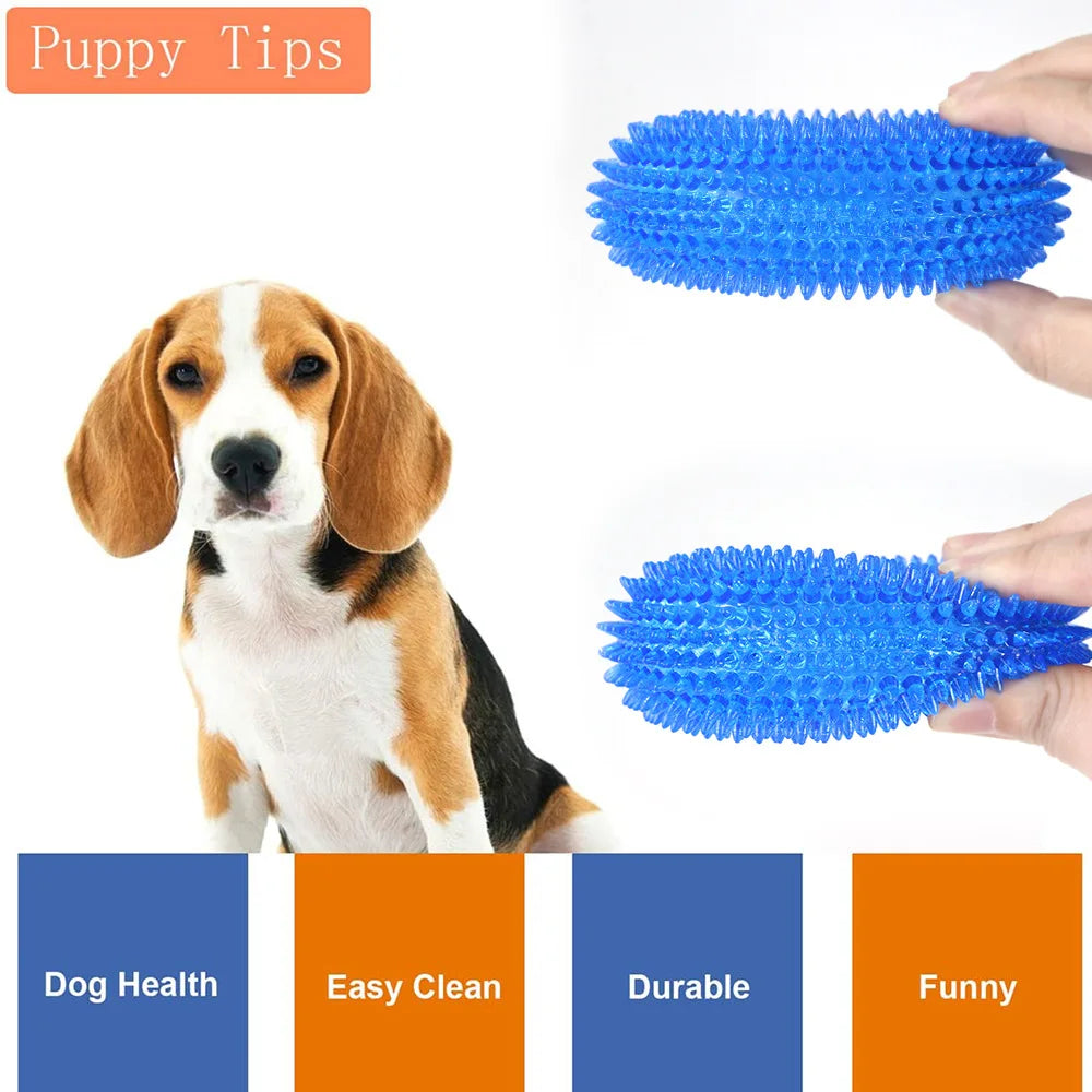 Spiky Squeaky TPR Dog Chew Toy Teeth Cleaner
