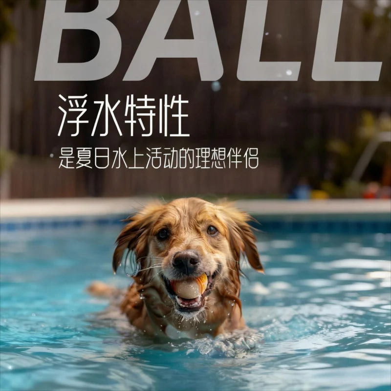 Durable TPR Sound Chew Ball Dog Training Toy