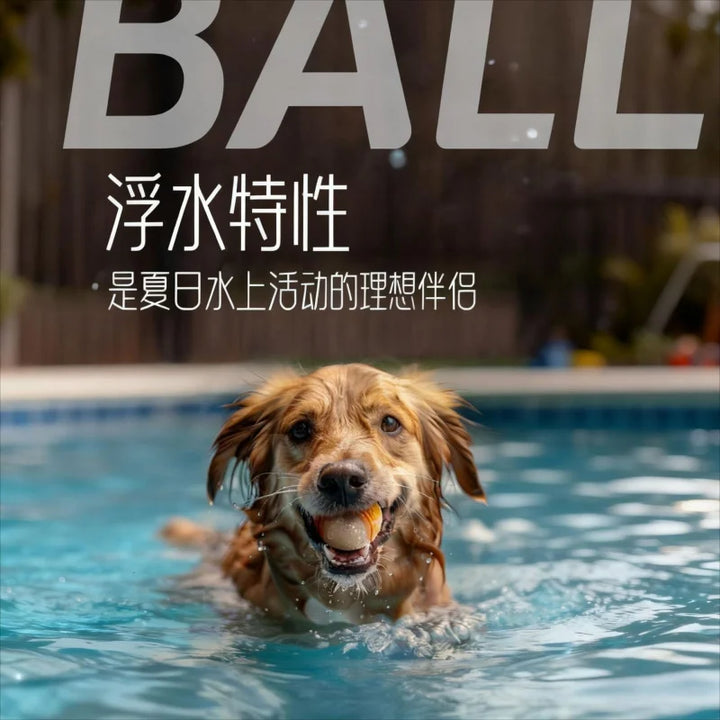 Durable TPR Sound Chew Ball Dog Training Toy