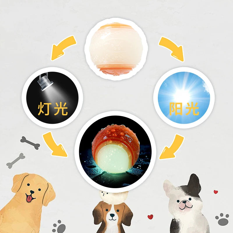 Durable TPR Sound Chew Ball Dog Training Toy