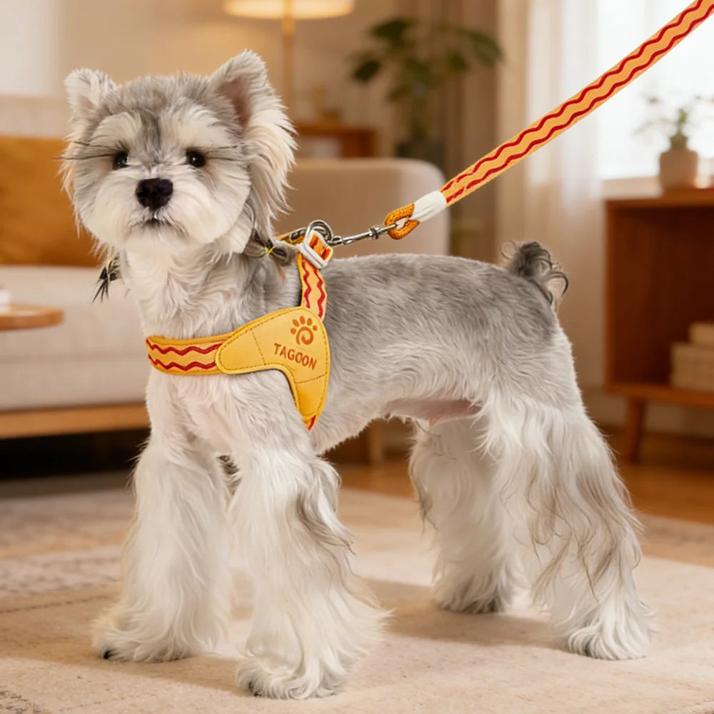Breathable Mesh Pet Harness for Cats Small Dogs Puppies