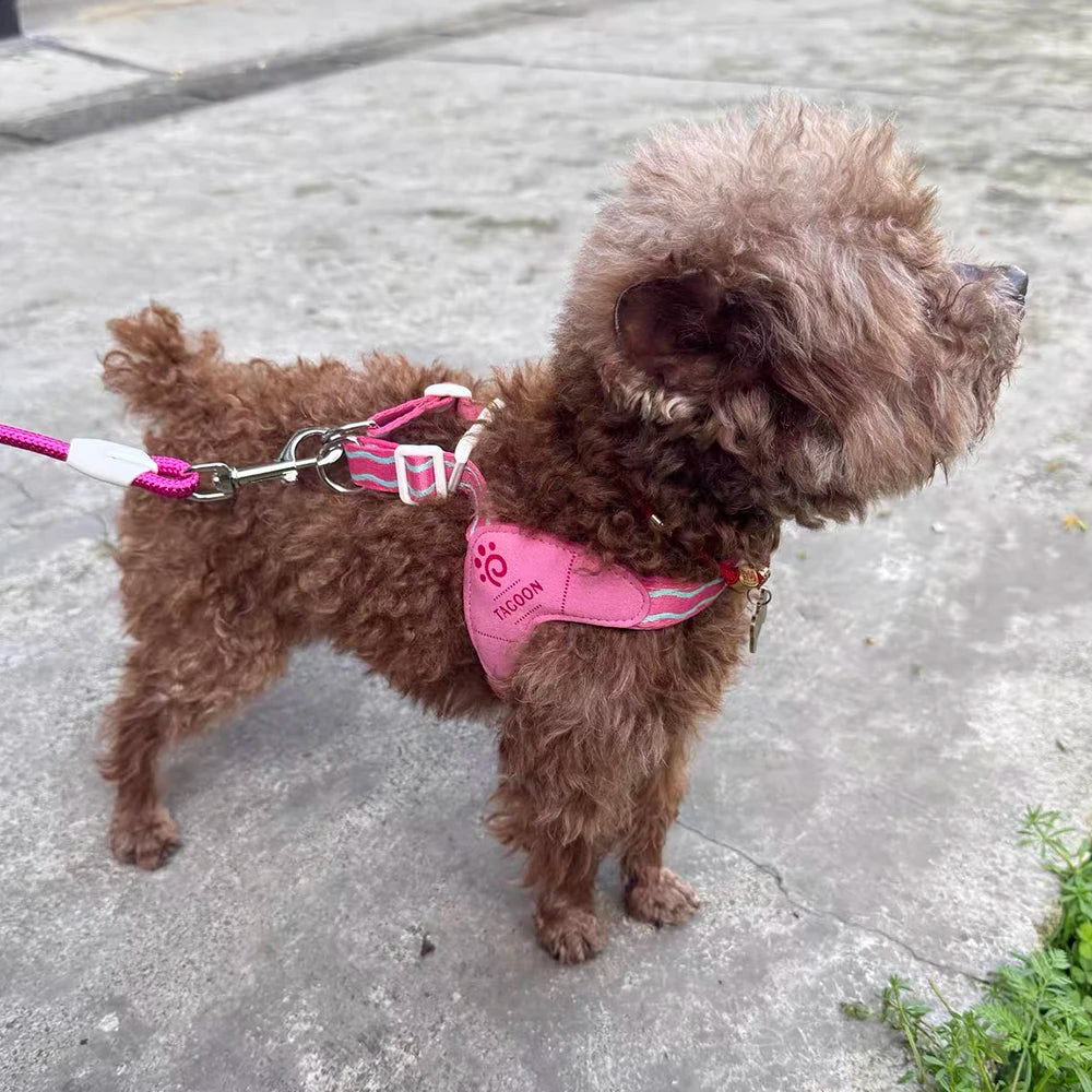 Breathable Mesh Pet Harness for Cats Small Dogs Puppies